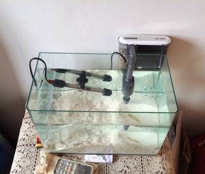 魚缸稅務處理指南企業在購買魚缸時需要了解的費用：公司購買魚缸的總費用包括哪些？