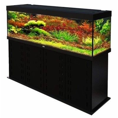 貴族魚缸的最佳擺放位置和注意事項：貴族魚缸最佳擺放位置和注意事項