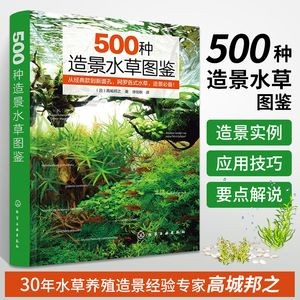 魚缸繁殖的常見誤區在魚缸繁殖過程中需要掌握這些知識：關于魚缸繁殖的常見誤區