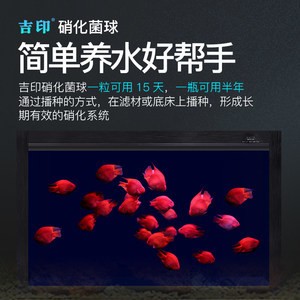 銀龍魚怎么繁殖視頻教學（銀龍魚怎么繁殖視頻教學大全）