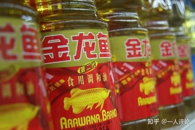魚糧 銀龍魚掉眼怎么治療最好最快呢(銀龍魚掉眼怎么治療最好最快呢視頻) 銀龍魚百科 銀龍魚掉眼怎么治療最好最快呢(銀龍魚掉眼怎么治療最好最快呢視頻) 銀龍魚掉眼怎么治療最好最快呢(銀龍魚掉眼怎么治療最好最快呢視頻) 銀龍魚百科