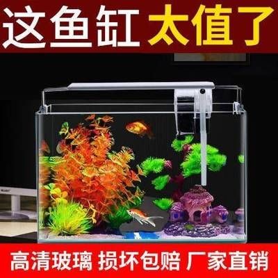 紅鯉魚魚缸換水步驟和注意事項：紅鯉魚魚缸換水步驟和注意事項：紅鯉魚的魚缸換水步驟和注意事項