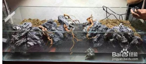 翁源縣樂魚兒生態水族館（魚樂源山莊）