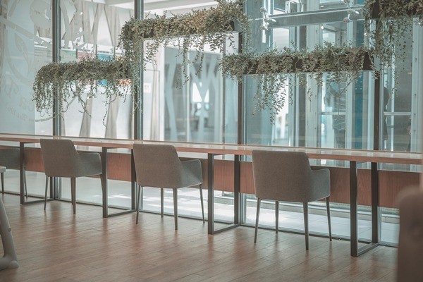 銀龍魚掉眼怎么回事?。ㄣy龍魚掉眼怎么回事啊圖片）