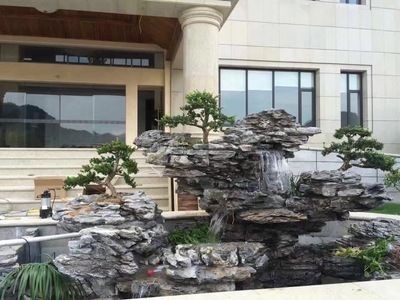 魚缸放石頭的技巧：放魚缸的石頭如何通過是否用于裝飾魚缸或改善水質的石頭