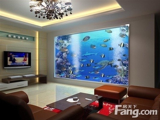 龍魚趴缸底是怎么回事兒圖片（龍魚趴缸底是怎么回事兒圖片大全）