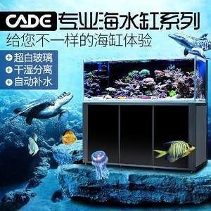銀龍魚苗好養(yǎng)嗎怎么養(yǎng)殖視頻（銀龍魚苗好養(yǎng)嗎怎么養(yǎng)殖視頻教程）
