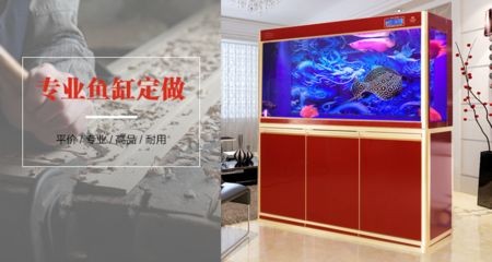 鴻顏水族提供定制魚缸的服務可以根據空間使用規劃建議：如何打造一個與眾不同的魚缸 鴻顏水族提供定制魚缸的服務可以根據空間使用規劃建議：如何打造一個與眾不同的魚缸 魚缸百科 第3張
