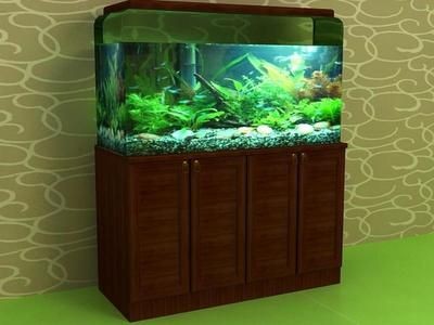 黑色背景魚缸適合養什么魚熱帶魚混養指南熱帶魚混養指南：黑色背景的魚缸適合養什么魚金龍魚飼養技巧