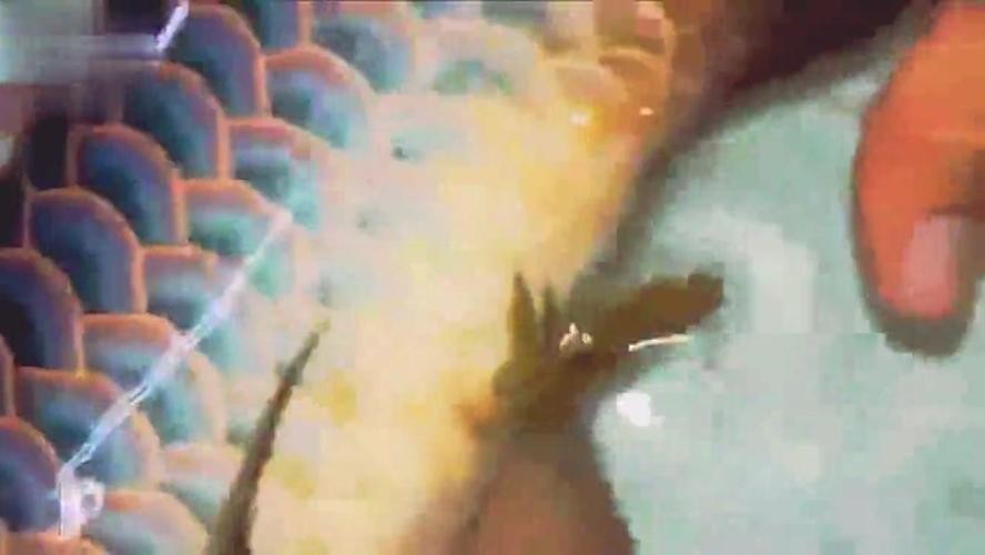 啟東市匯龍鎮(zhèn)旺旺海洋水族館（啟東市匯龍鎮(zhèn)旺旺海洋水族館電話） 啟東市匯龍鎮(zhèn)旺旺海洋水族館（啟東市匯龍鎮(zhèn)旺旺海洋水族館電話） 全國水族館企業(yè)名錄 第1張