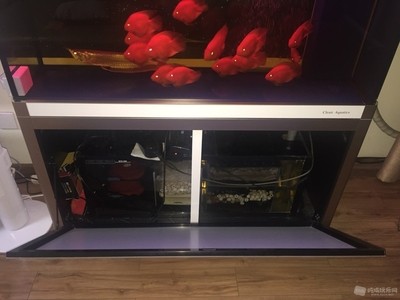 牟平區魚樂圈水族館（牟平區魚樂圈水族館電話）