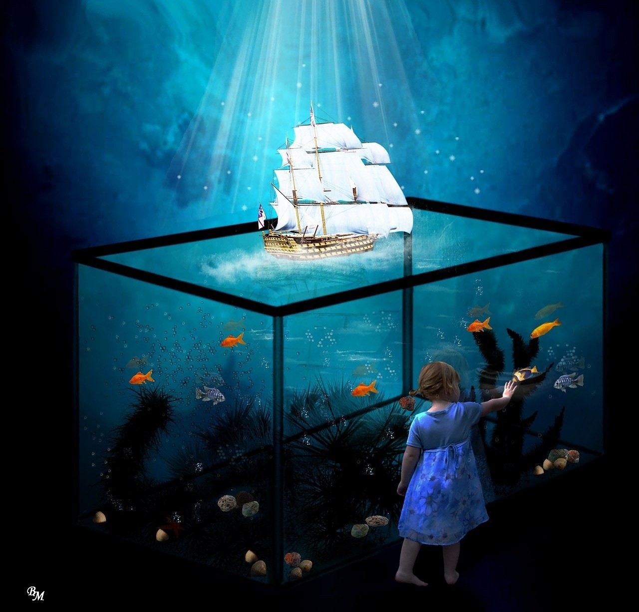 龍魚和虎魚怎樣搭配好看呢圖片（龍魚和虎魚怎樣搭配好看呢圖片視頻）