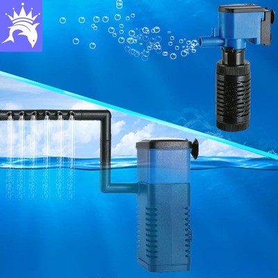 南京市秦淮區千喜龍水族館（南京市秦淮區千喜龍水族館地址）