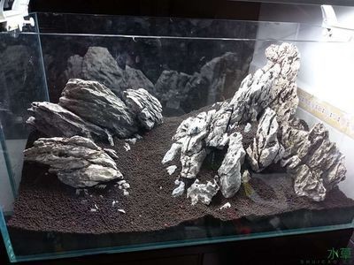花崗巖魚缸造景的應用：科技在魚缸造景中的應用 花崗巖魚缸造景的應用：科技在魚缸造景中的應用 魚缸百科 第3張