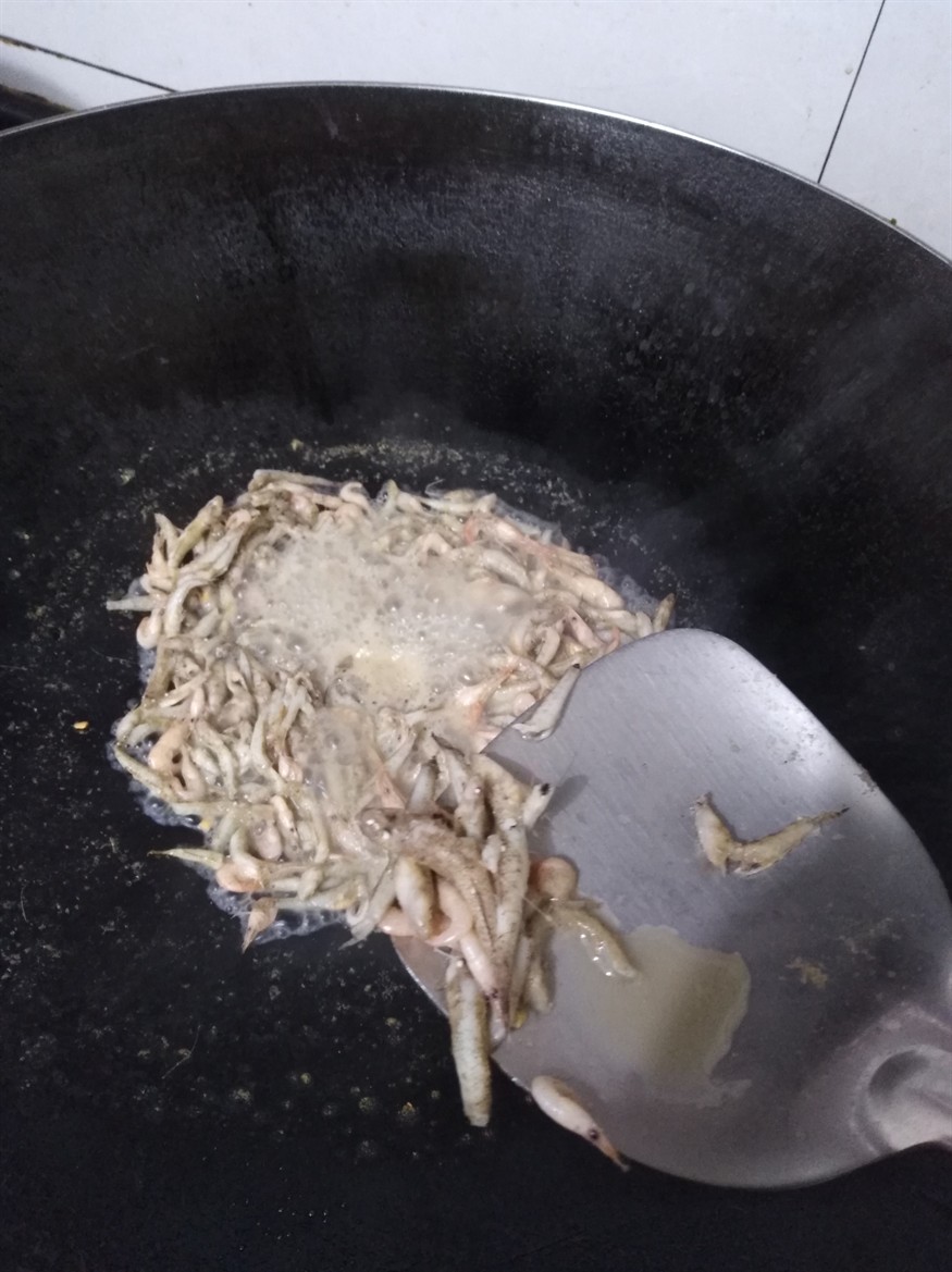 每天半斤蝦虎魚喂龍魚