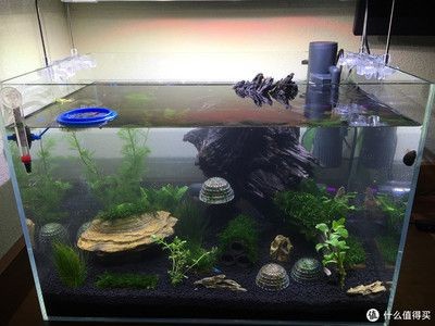 草缸與底濾魚缸的區別：底濾魚缸如何改造