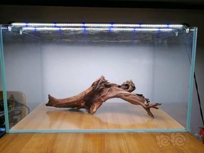 拱橋魚缸造景圖對不起，我可以為您提供一些關于拱橋魚缸造景圖：如何在家中創造一個令人贊嘆的夢幻魚缸？