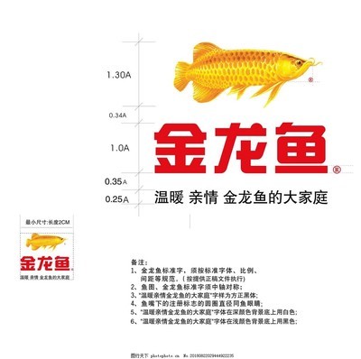 銀龍魚可以放生嗎(銀龍魚放河里能活嗎) 銀龍魚可以放生嗎(銀龍魚放河里能活嗎) 銀龍魚百科