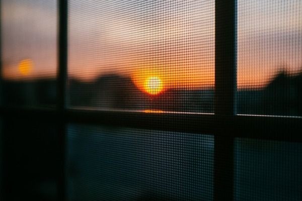 銀龍魚多少錢一條