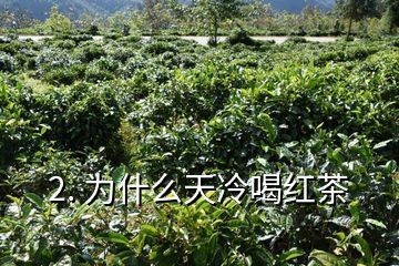 紅茶茶葉可以倒入魚缸里嗎：普洱茶養魚好嗎紅茶茶葉可以倒在魚缸里嗎