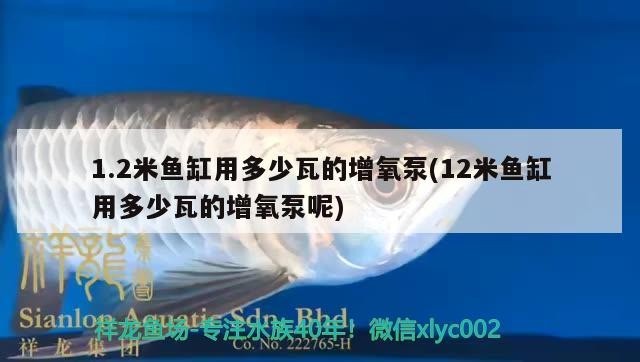 1.2米魚缸用多少瓦的增氧泵(12米魚缸用多少瓦的增氧泵呢)