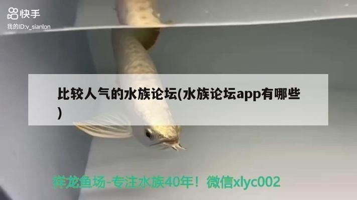 水族論壇專業板塊分類查詢，專業的水族論壇及其板塊分類