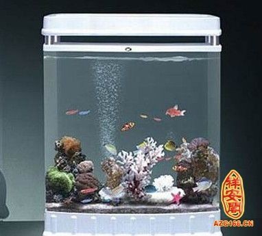 風(fēng)水魚缸的選擇：風(fēng)水魚缸擺放位置&nbsp,圓形魚缸五行屬水同樣屬性