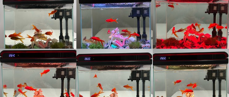 昆明市五華區來利水族器材店（昆明市五華區來利水族器材店地址）