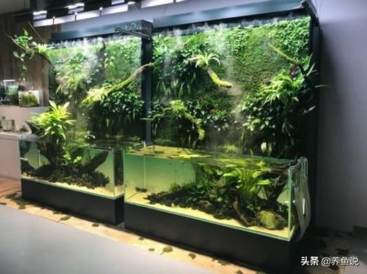 魚缸剛換完水就變混了什么原因，如何維護魚缸硝化系統魚缸換水的最佳時機