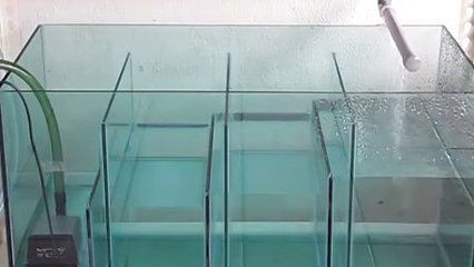 魚缸改造的藝術與科學魚缸改造的藝術原則和科學原理：定制魚缸不允許開孔怎么辦？ 魚缸改造的藝術與科學魚缸改造的藝術原則和科學原理：定制魚缸不允許開孔怎么辦？ 魚缸百科 第4張
