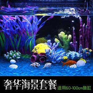 海景坊商貿有限公司魚缸制造工藝揭秘探索魚缸制造工藝：新鄉市海景坊商貿有限公司