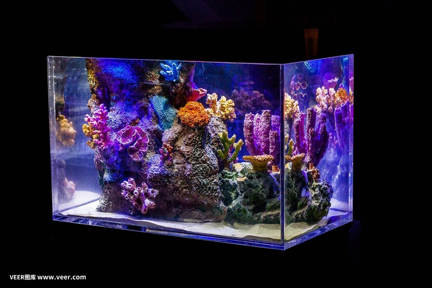方形魚缸造景技巧：方形魚缸海洋造景技巧 方形魚缸造景技巧：方形魚缸海洋造景技巧 魚缸百科 第3張