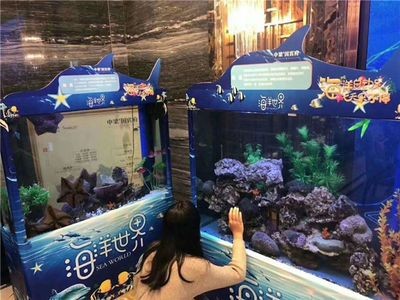 方形魚缸造景技巧：方形魚缸海洋造景技巧 方形魚缸造景技巧：方形魚缸海洋造景技巧 魚缸百科 第4張