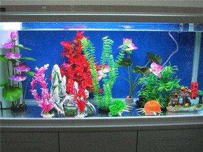 魚缸定制流程解析：訂做魚缸完工時間取決于多個因素 魚缸定制流程解析：訂做魚缸完工時間取決于多個因素 魚缸百科 第4張