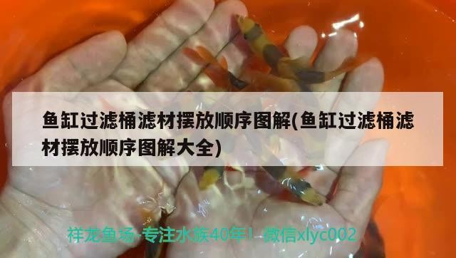 廣州水族館闖缸魚進去四天了