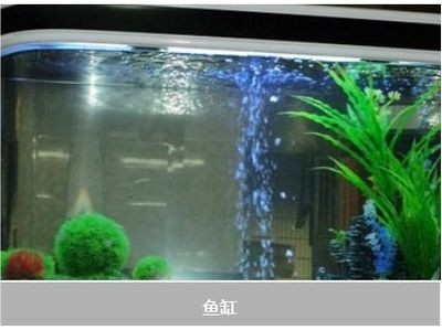 魚缸殺菌燈選購技巧：魚缸殺菌燈的選擇技巧 魚缸殺菌燈選購技巧：魚缸殺菌燈的選擇技巧 魚缸百科 第4張