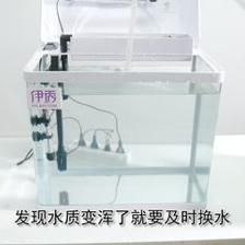 魚缸中的棉絮狀物質的處理方法：魚缸中的棉絮狀物質可能是魚缸中的棉絮狀物質可能是其他物質 魚缸中的棉絮狀物質的處理方法：魚缸中的棉絮狀物質可能是魚缸中的棉絮狀物質可能是其他物質 魚缸百科 第1張