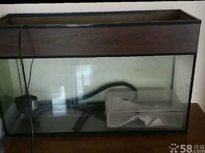 哈市二手魚缸交易市場(chǎng)的具體位置信息是否有二手魚缸出售：哈爾濱二手魚缸交易市場(chǎng)
