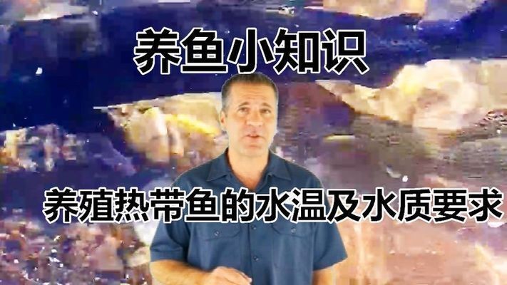 熱帶魚(yú)水溫管理技巧，熱帶魚(yú)水溫管理技巧，熱帶魚(yú)適宜水溫與生長(zhǎng)關(guān)系