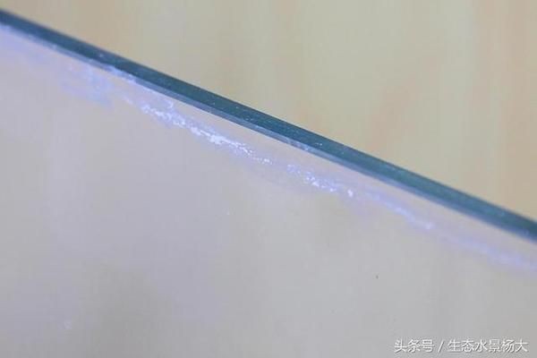 魚缸水質(zhì)管理的重要性魚缸水質(zhì)管理的重要性魚缸水質(zhì)管理：如何有效地去除魚缸水垢？