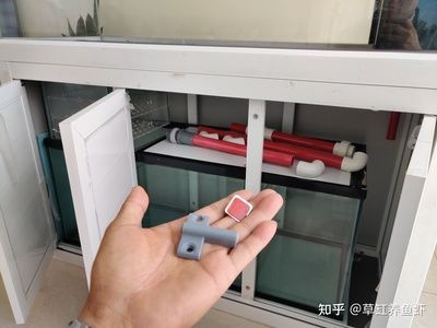 帶蓋的魚缸怎么拆下來:拆卸帶蓋的魚缸需要謹慎操作 魚缸百科 第3張 帶蓋的魚缸怎么拆下來:拆卸帶蓋的魚缸需要謹慎操作 帶蓋的魚缸怎么拆下來:拆卸帶蓋的魚缸需要謹慎操作 魚缸百科 第3張