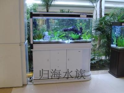 鞍山經濟開發區富麗水族裝飾行（鞍山富麗華休閑館）
