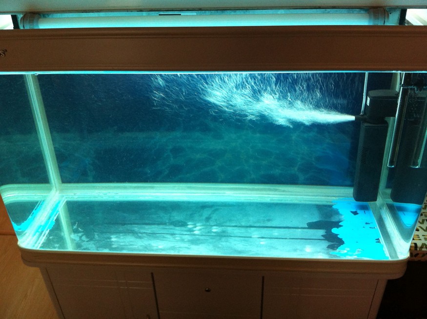 衡水貴族海洋水族館（衡水貴族海洋水族館電話）