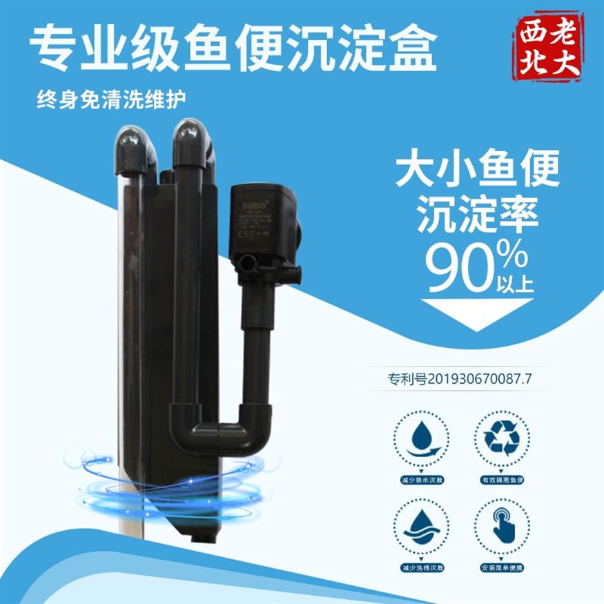 淡水海龍魚好養(yǎng)嗎：淡水海龍魚好養(yǎng)嗎視頻，淡水海龍魚養(yǎng)護指南，是否適合