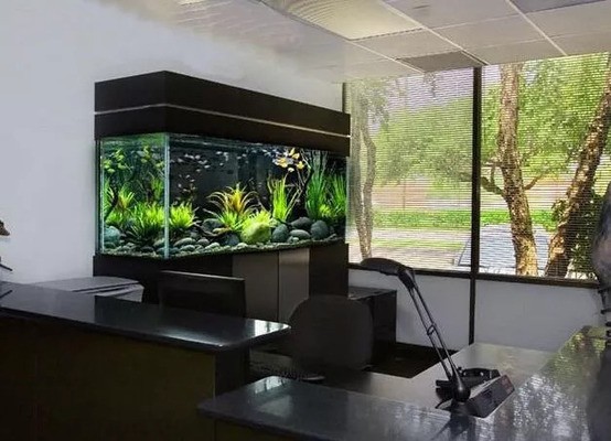 遷安市遷安鎮點亮水族店（遷安水族館電話） 遷安市遷安鎮點亮水族店（遷安水族館電話） 全國水族館企業名錄 第1張