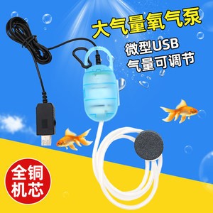 什么魚可以和銀龍魚混養呢（什么魚可以和銀龍魚混養呢圖片）