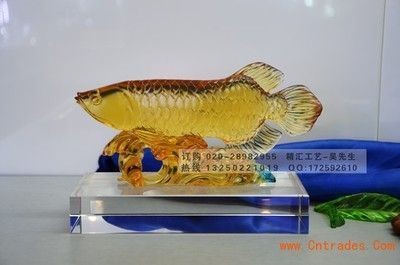舟山市普陀麗景水族館（舟山市普陀麗景水族館電話）