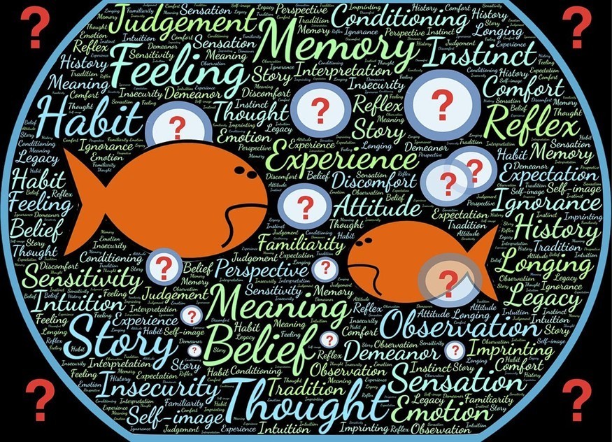 龍魚和虎魚一起養(yǎng)好嗎圖片（龍魚和虎魚能混養(yǎng)嗎） 龍魚和虎魚一起養(yǎng)好嗎圖片（龍魚和虎魚能混養(yǎng)嗎） 虎魚百科 第1張