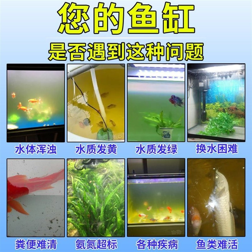 觀賞魚缸水質發黃但清澈是正常的嗎？：觀賞魚缸水質發黃但清澈可能有多種原因有些是正常的