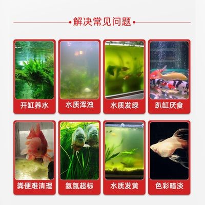 觀賞魚缸水質發黃但清澈是正常的嗎？：觀賞魚缸水質發黃但清澈可能有多種原因有些是正常的